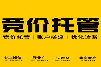 网站sem托管案例分享：如何精准投放广告